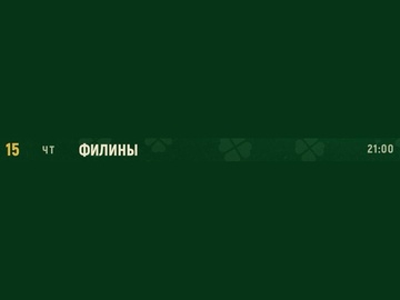 Группа «Филины»
