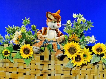 Котофей Иванович