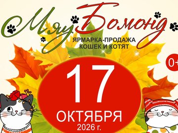 Ярмарка-продажа котят 17 октября