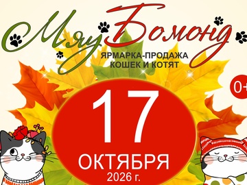 Ярмарка-продажа котят 17 октября
