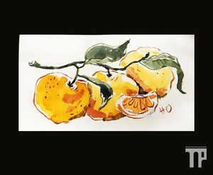 Мастер-класс «Новогодняя открытка с мандаринами»