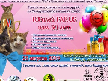 Выставка кошек "Юбилей FARUS нам 30 лет"