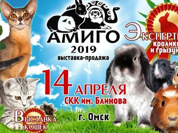 Выставка животных "Амиго-2019"