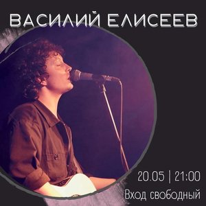 Василий Елисеев | акустика
