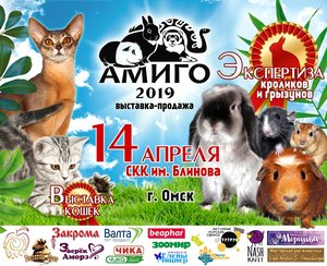 Выставка животных "Амиго-2019"