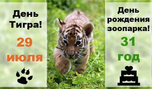 День тигра в Большереченском зоопарке