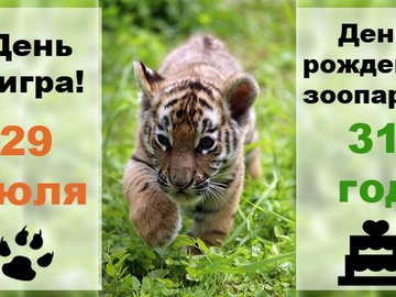 День тигра в Большереченском зоопарке