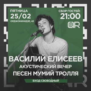 Василий Елисеев | акустика